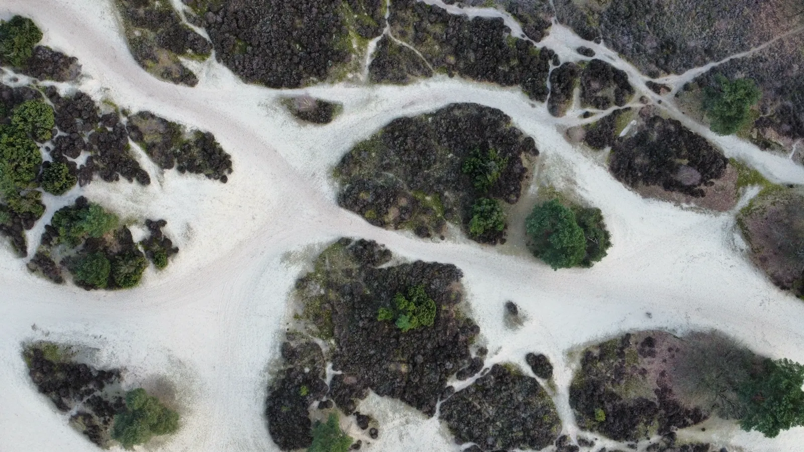Top-down dronefoto van zand en heide